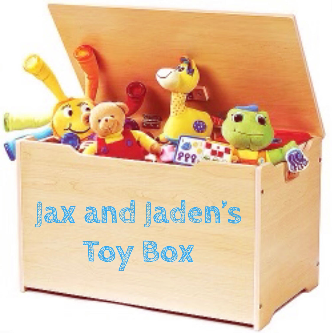 Jax and Jaden's Toy Box